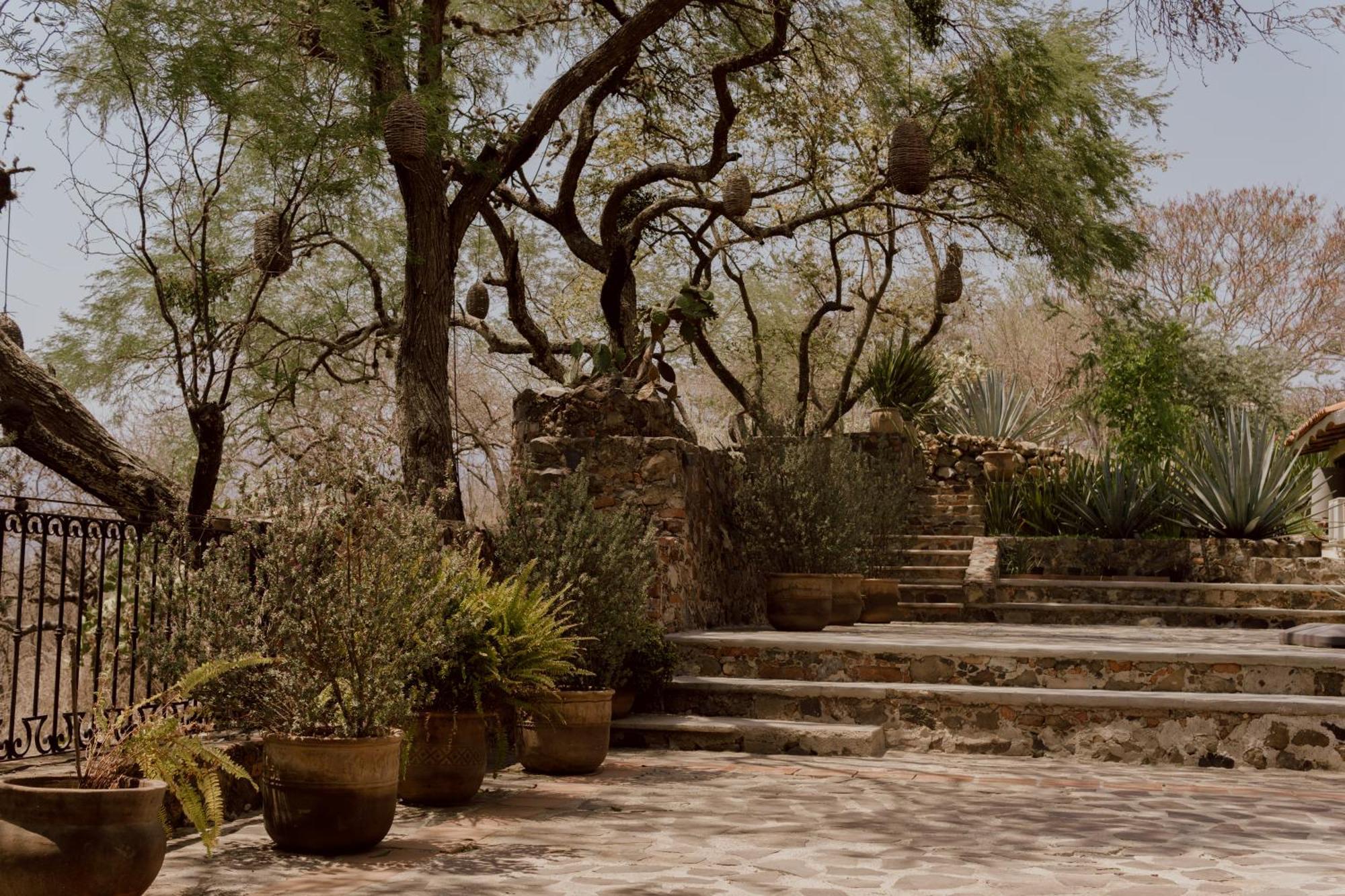 Hacienda San Nicolas De Las Fuentes Teuchitlan Bagian luar foto