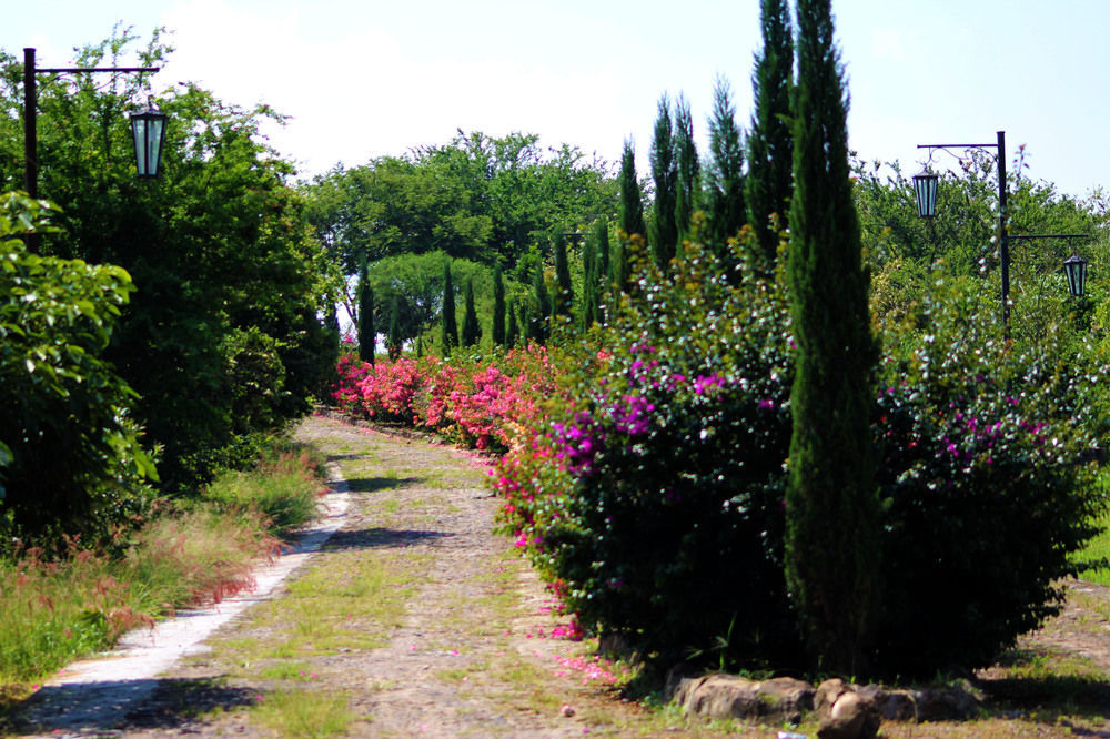 Hacienda San Nicolas De Las Fuentes Teuchitlan Bagian luar foto
