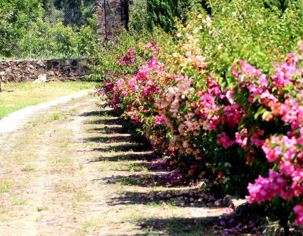 Hacienda San Nicolas De Las Fuentes Teuchitlan Bagian luar foto